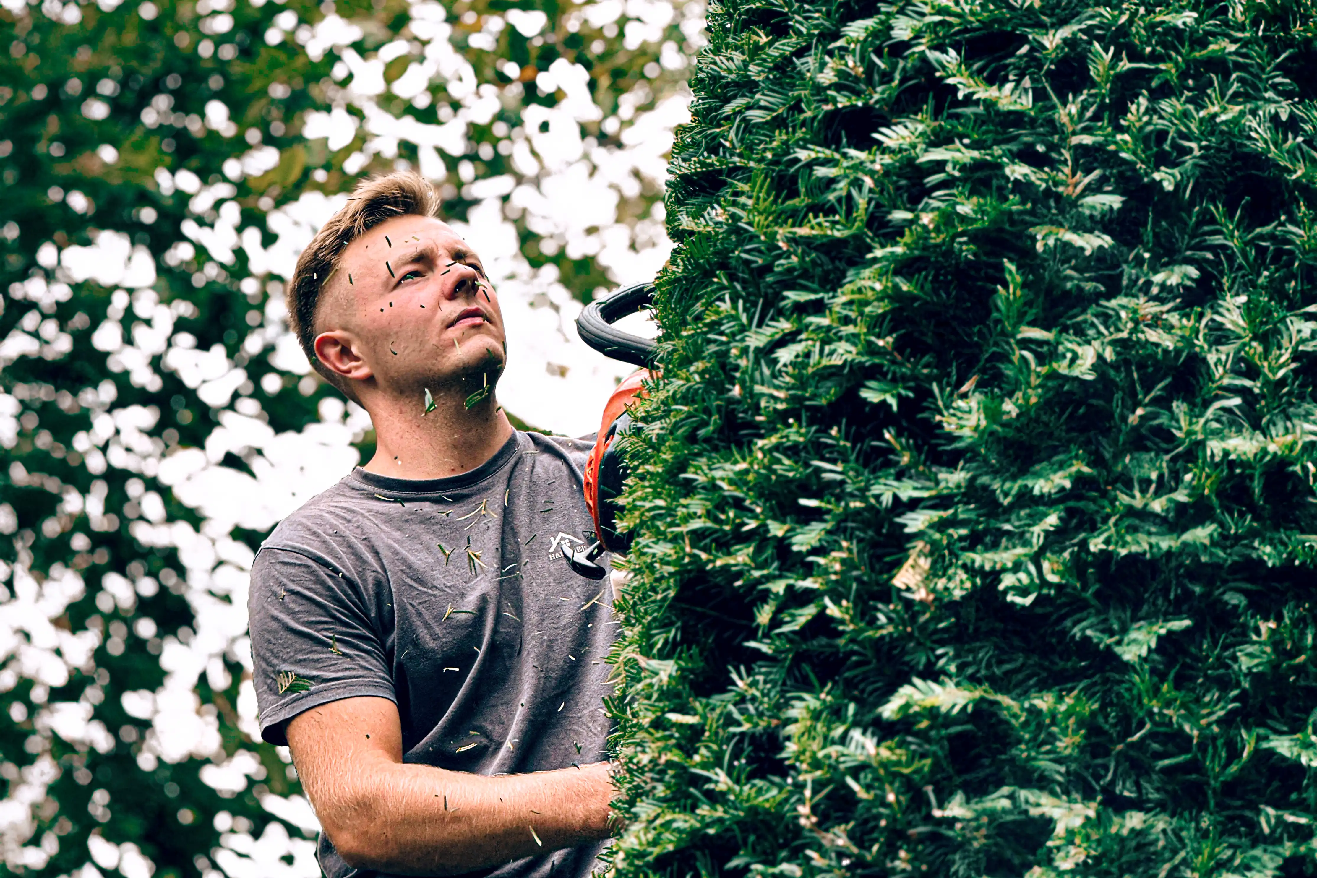 Gartenarbeiten